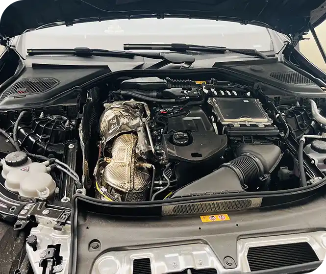 Professional Excellence