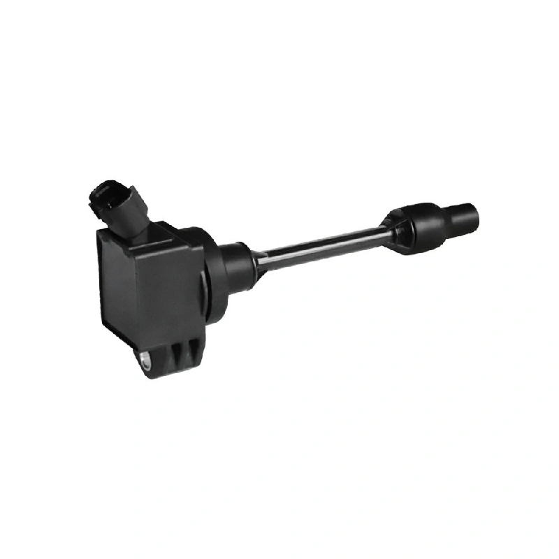 Replacement Ignition Coil 9091902276