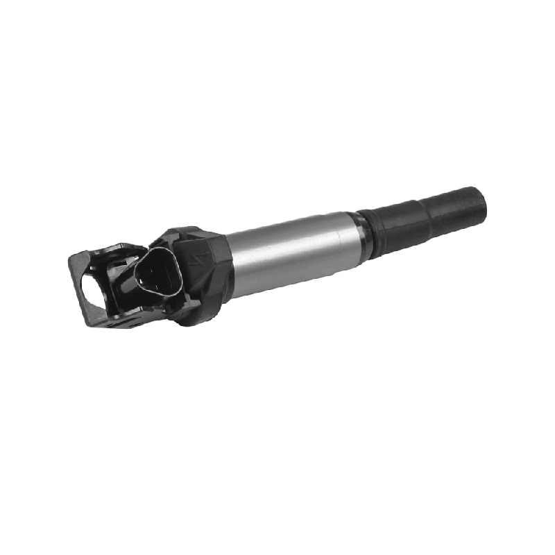 Ignition Coil 12137575010/12137550012