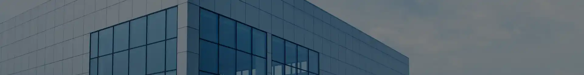 Company Profile