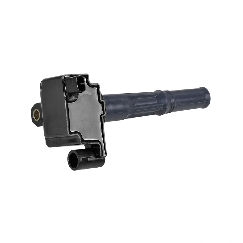 Toyota Ignition Coil (OE 9091902213, 2 Pins, Without Module)