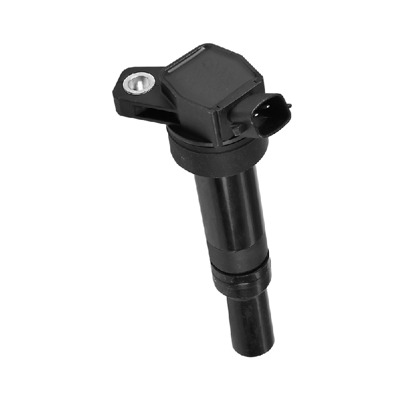 Hyundai Ignition Coil (OE 273002E000, 2 Pins, Without Module)