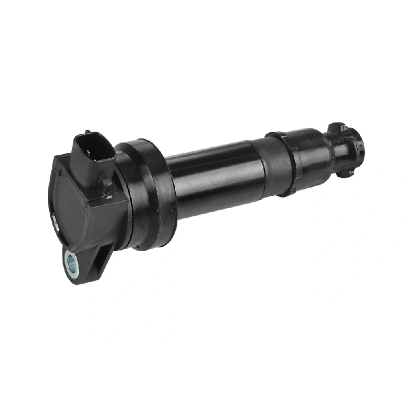 Hyundai / Kia Ignition Coil (OE 273012B000, 2 Pins, Without Module)
