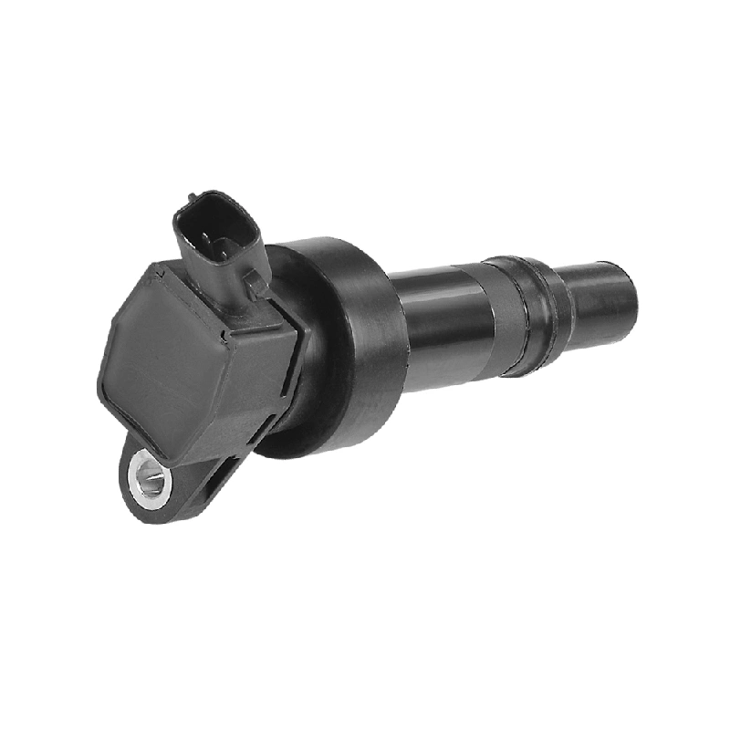 Hyundai / Kia Ignition Coil (OE 273012B100, 2 Pins, Without Module)