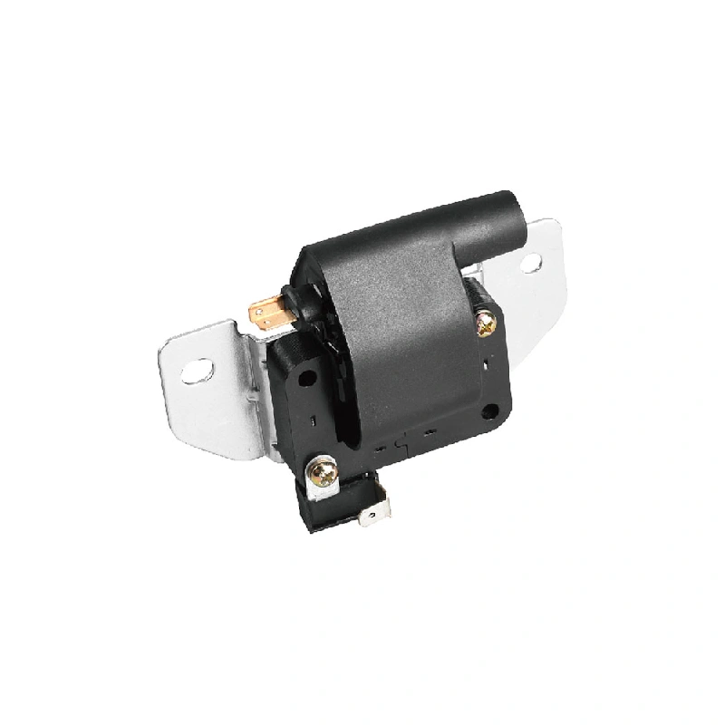 Daewoo Ignition Coil (OE 96336522, 2 Pins, Without Module)