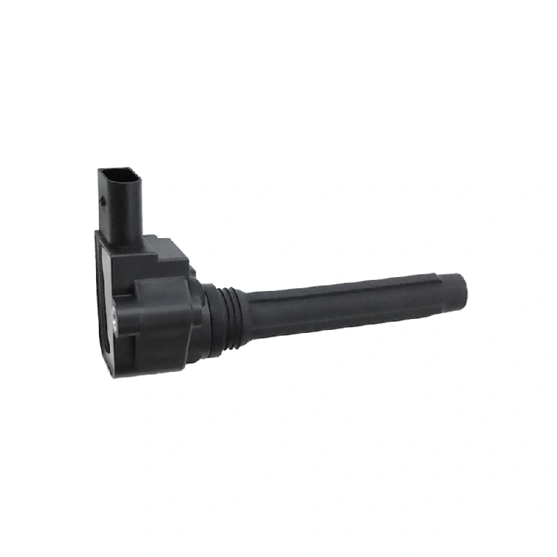 Audi Ignition Coil (OE 079905110L, 4 Pins, With Module)