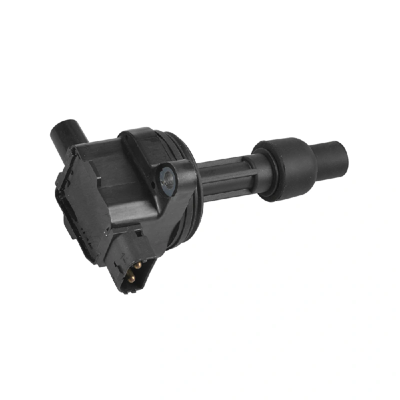 Volvo Ignition Coil (OE 1275602, 2 Pins, Without Module)