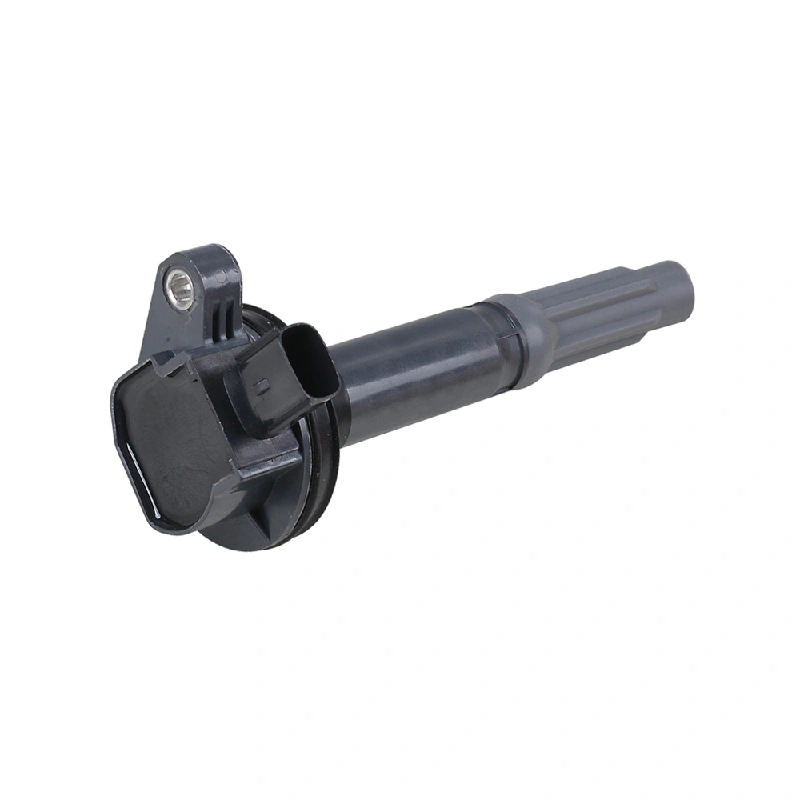 Ford Ignition Coil (OE BR3Z12029A, 2 Pins, Without Module)