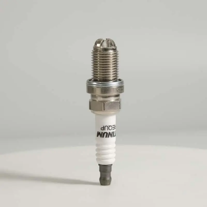 BMW Four Ground Electrode Engine Spark Plug